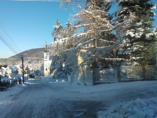 WP_002272.jpg