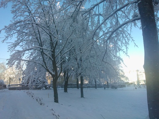 WP_002274.jpg