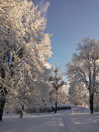 WP_002275.jpg