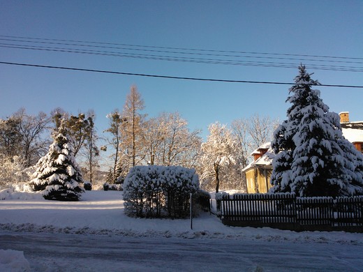 WP_002276.jpg