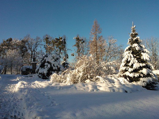WP_002278.jpg