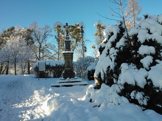 WP_002279.jpg