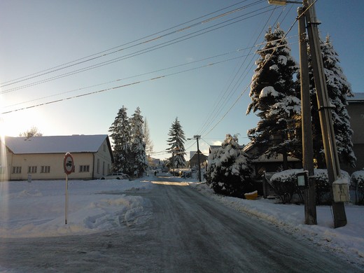 WP_002281.jpg