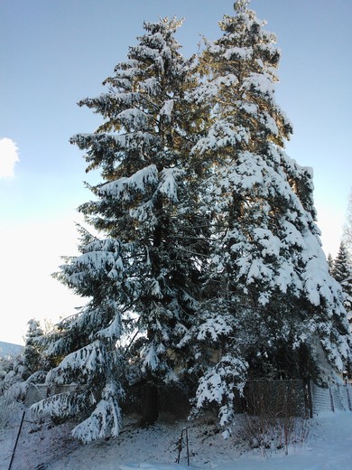 WP_002283.jpg