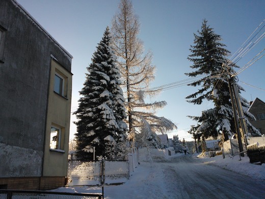 WP_002284.jpg