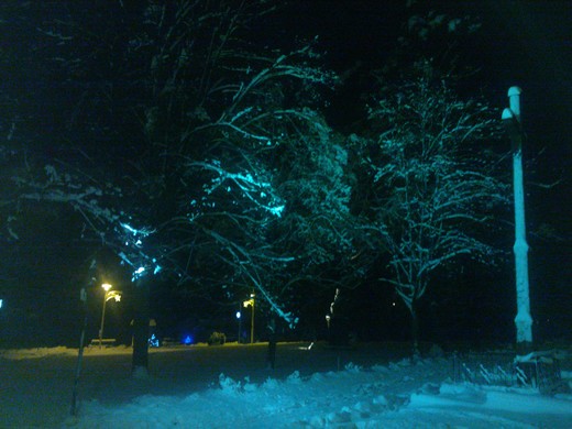 WP_002285.jpg