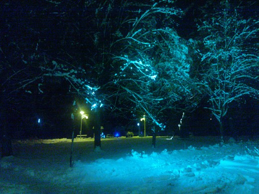 WP_002286.jpg